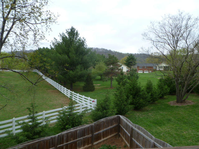 644 Castleridge Road Vinton, VA 24179 - Photo 19 of 21 back yard 2