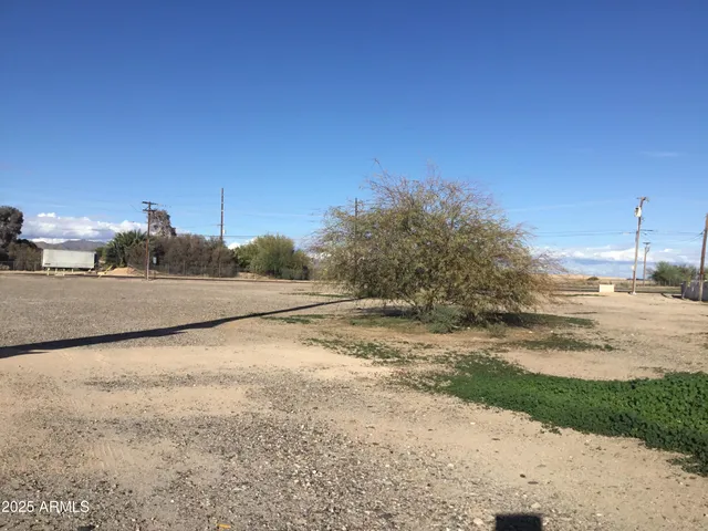 a view of a yard with palm trees