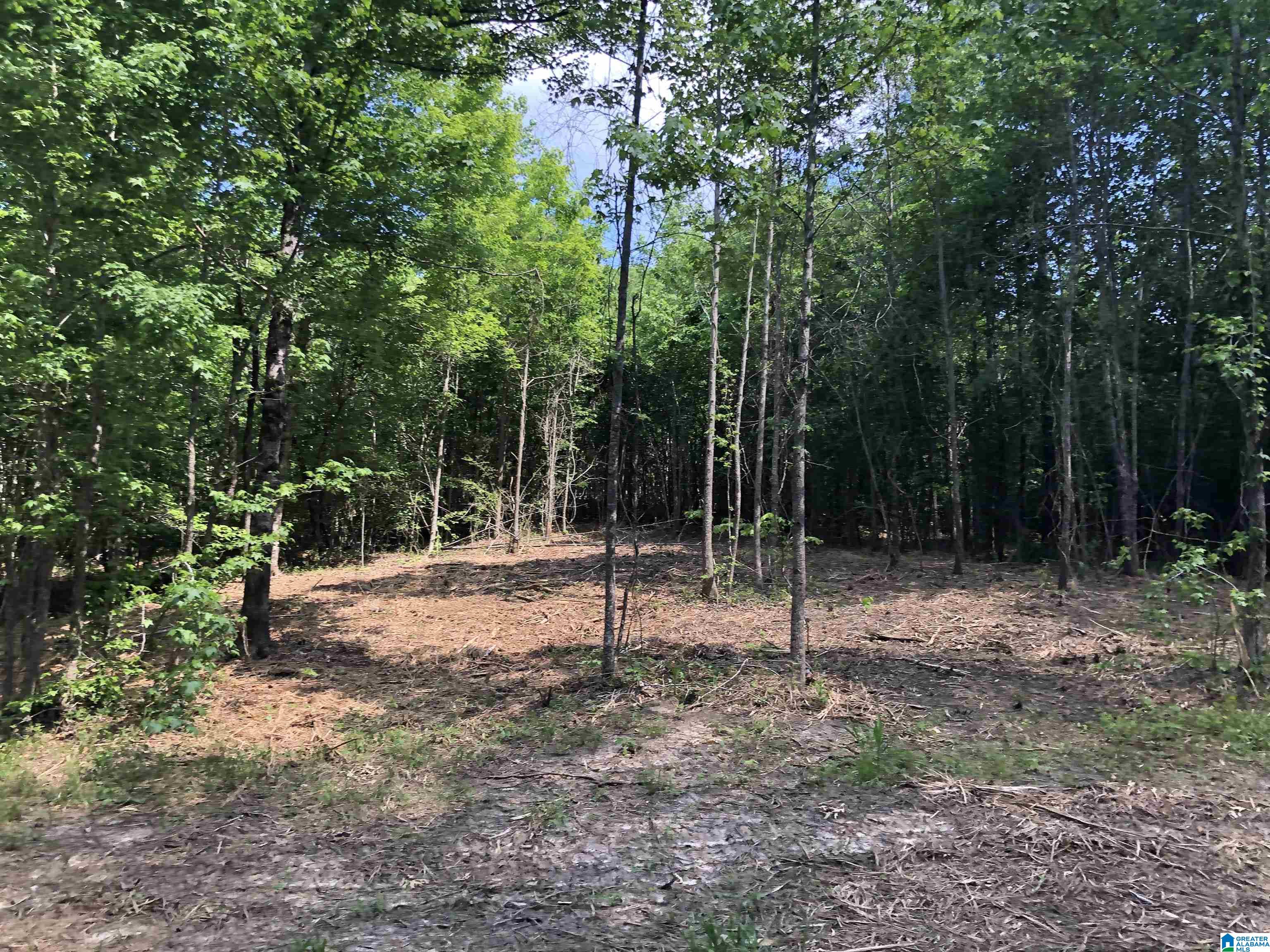 0 Peeks Hill Road, Unit 3 Ohatchee, AL 36271 - Photo 5 of 10