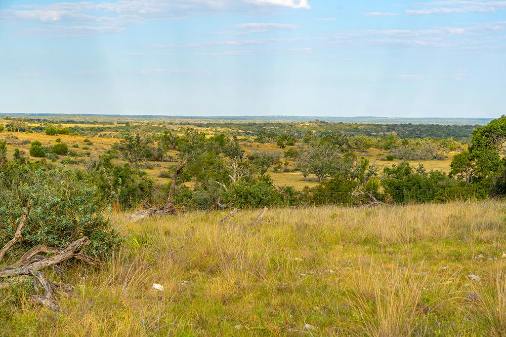 4551 Reeh Road Fredericksburg, TX 78624 - Photo 17 of 69 Gallery Image 17