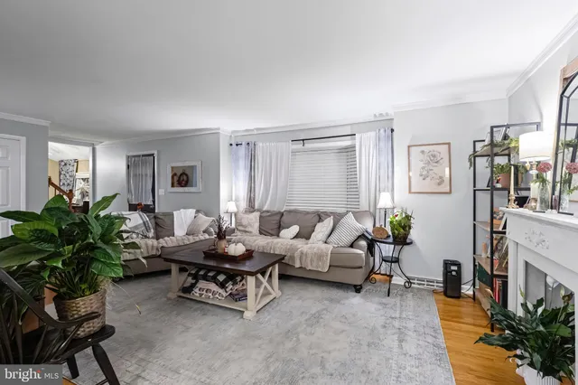 a living room with furniture potted plant and a window