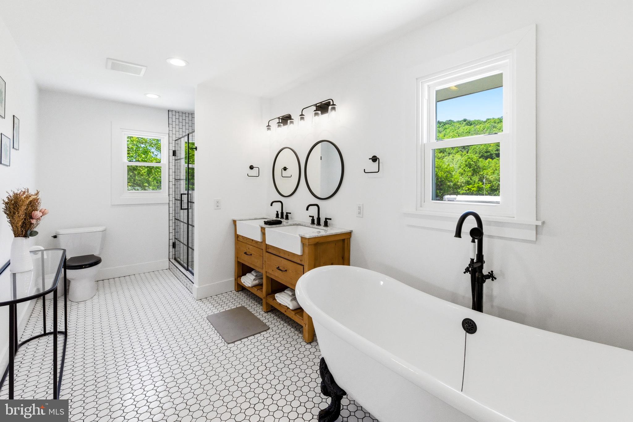 3259 Ida Road Luray, VA 22835 - Photo 43 of 139