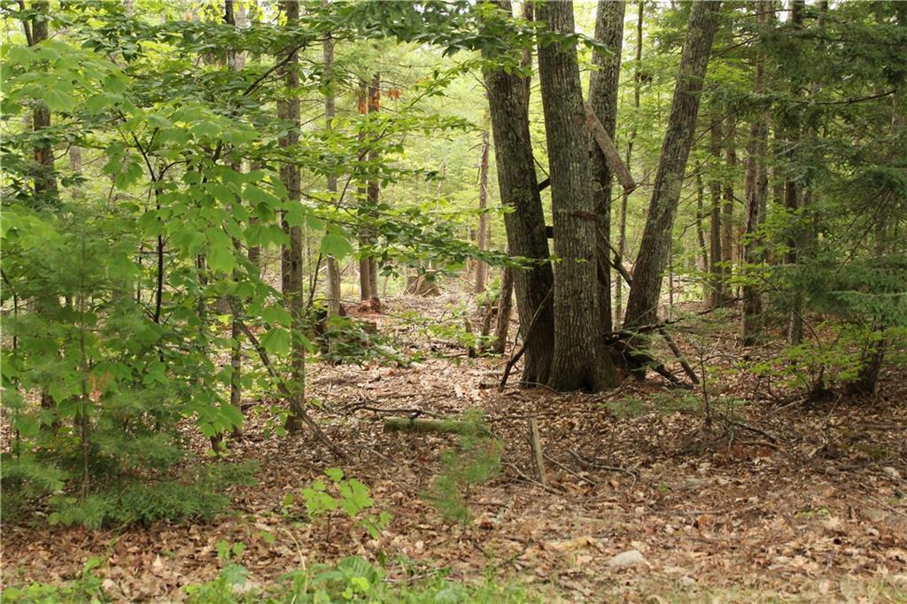 0 Fowlers Landing Road Hampden, ME 04444 - Photo 1 of 6 Photo