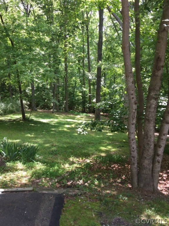 14531 Benefice Ridge Chesterfield, VA 23838 - Photo 20 of 22 Gallery Image 20