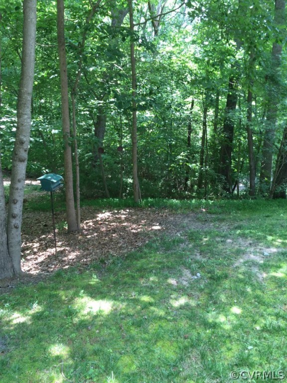 14531 Benefice Ridge Chesterfield, VA 23838 - Photo 21 of 22 Gallery Image 21
