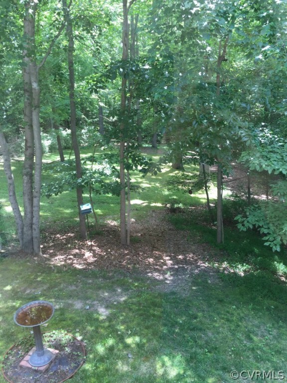 14531 Benefice Ridge Chesterfield, VA 23838 - Photo 22 of 22 Gallery Image 22