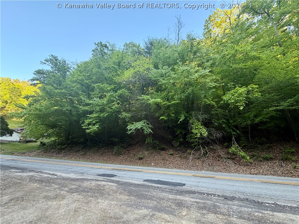 868 Bulger Road Alkol, WV 25501 - Photo 11 of 22 Gallery Image 11