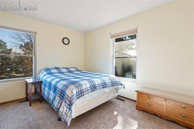 5208 Miranda Road Colorado Springs, CO 80918 - Photo 24 of 41