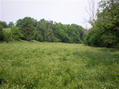 1717 Ballard Road Paint Lick, KY 40461 - Photo 46 of 49 Photo 47