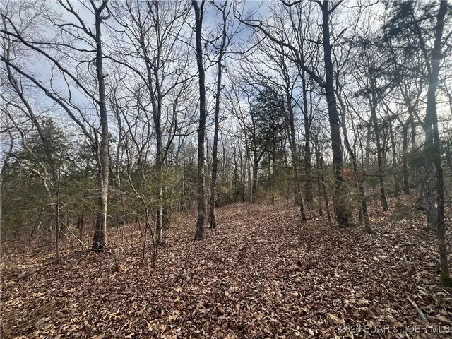 $89,500 | Tbd Hwy Mm, Eldon, MO 65026