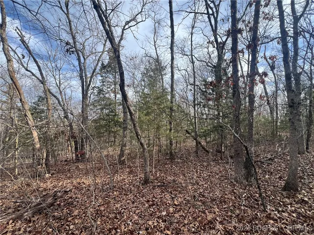 $89,500 | Tbd Hwy Mm, Eldon, MO 65026