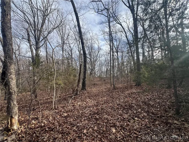 $89,500 | Tbd Hwy Mm, Eldon, MO 65026
