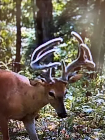 $89,500 | Tbd Hwy Mm, Eldon, MO 65026