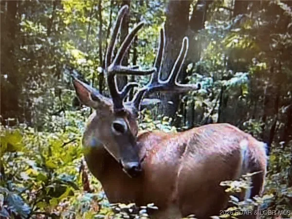 $89,500 | Tbd Hwy Mm, Eldon, MO 65026