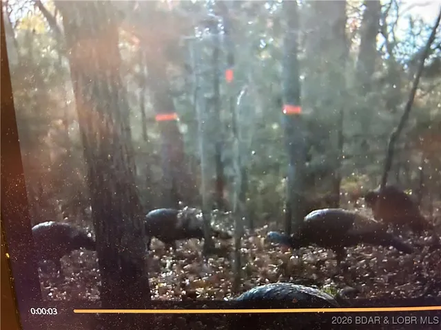 $89,500 | Tbd Hwy Mm, Eldon, MO 65026