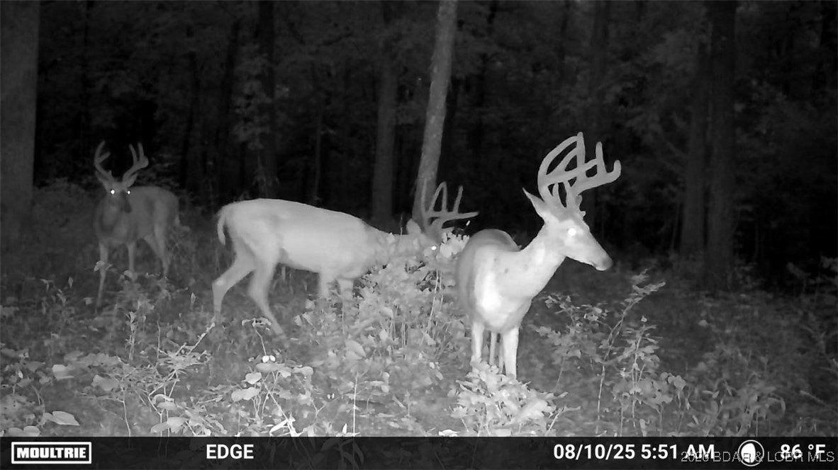 Tbd Hwy Mm Eldon, MO 65026 - Photo 4 of 18