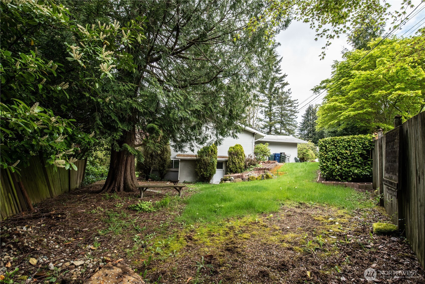 10015 Southeast 192nd Street Renton, WA 98055 - Photo 36 of 39 a view of a house with backyard and a tree