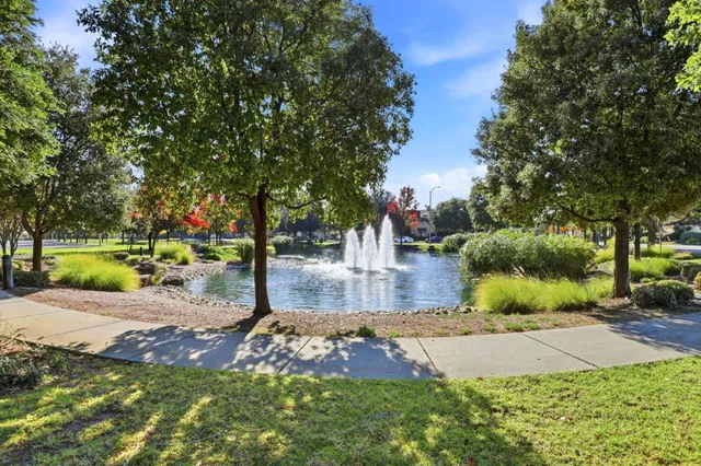 a view of a yard with plants and trees