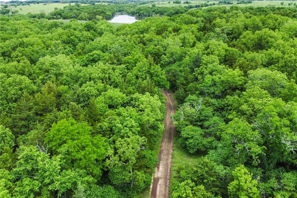4345 Douglas Road Lane, KS 66042 - Photo 14 of 23