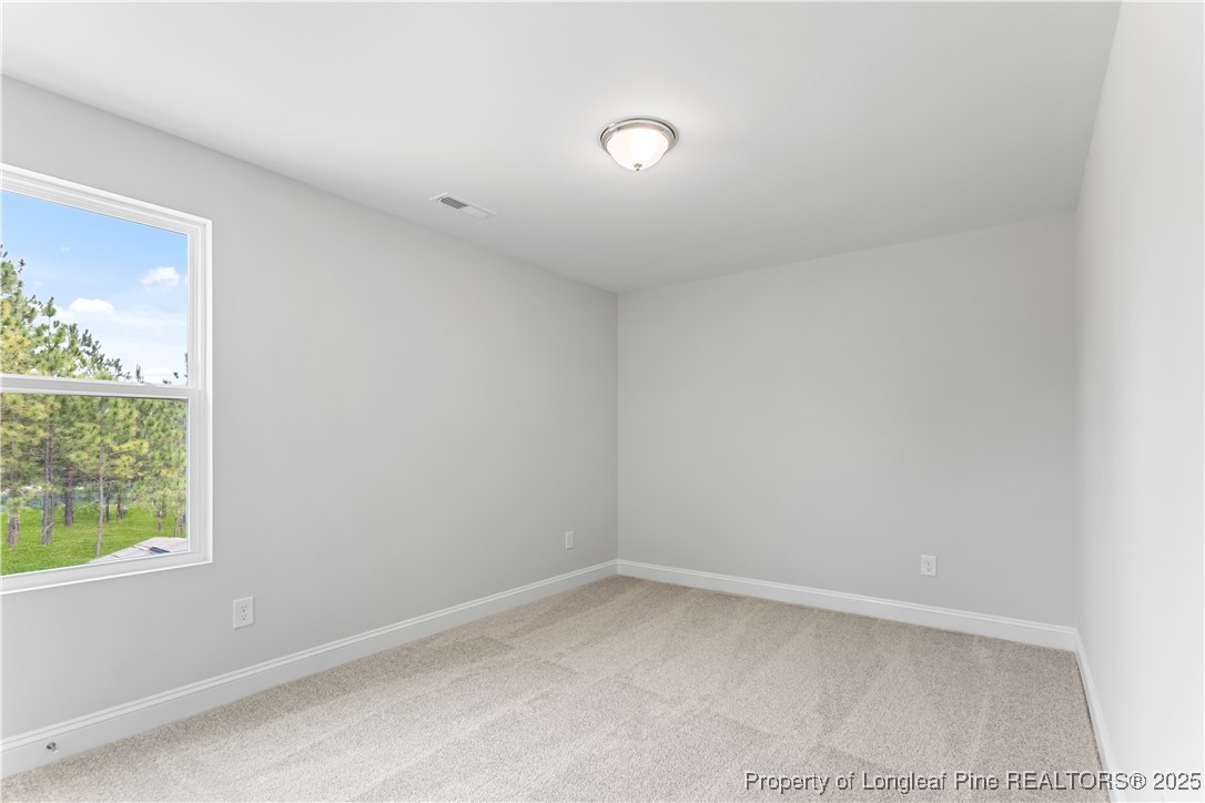 274 Pinnacle Court Raeford, NC 28376 - Photo 25 of 43 Gallery Image 25