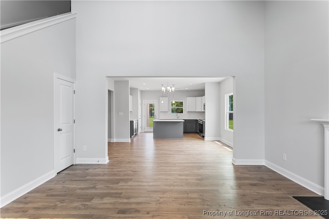 274 Pinnacle Court Raeford, NC 28376 - Photo 4 of 43 Gallery Image 4