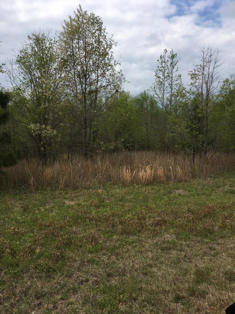 0 Susie Bailey Road Waynesboro, GA 30830 - Photo 1 of 1 Main View
