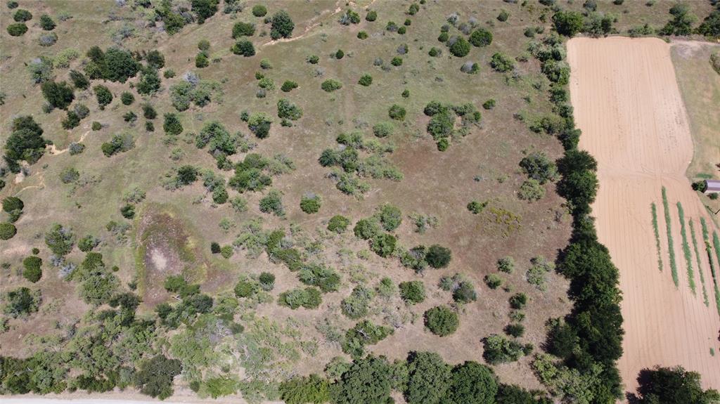 Tbd Ballew Springs Road Weatherford, TX 76088 - Photo 13 of 26 view of a yard with a plant