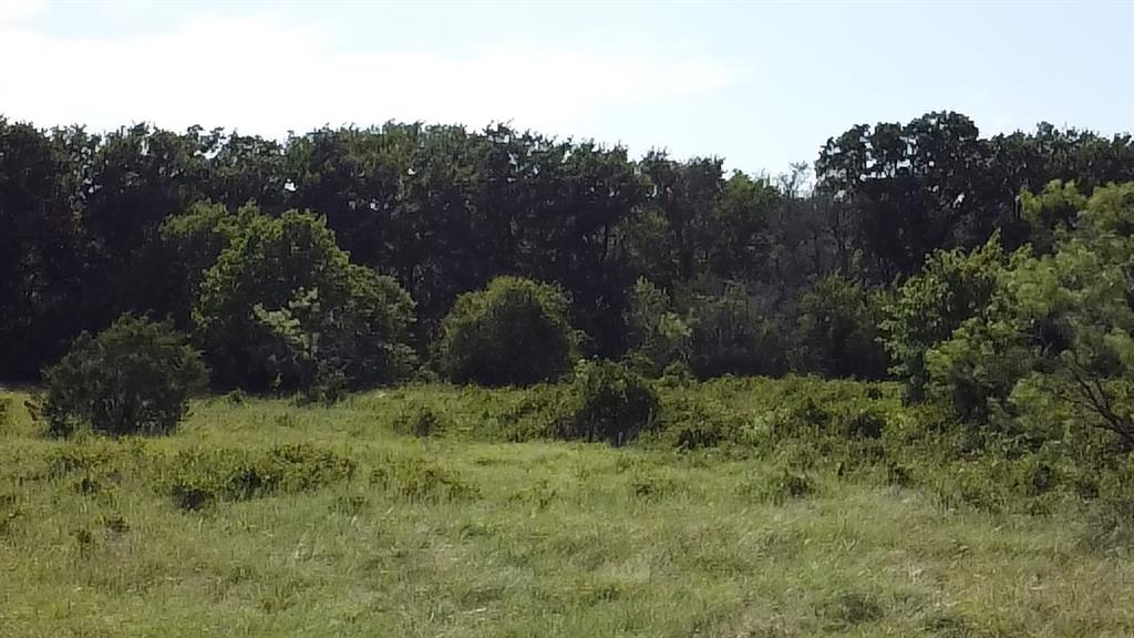 Tbd Ballew Springs Road Weatherford, TX 76088 - Photo 20 of 26 a view of a lush green forest