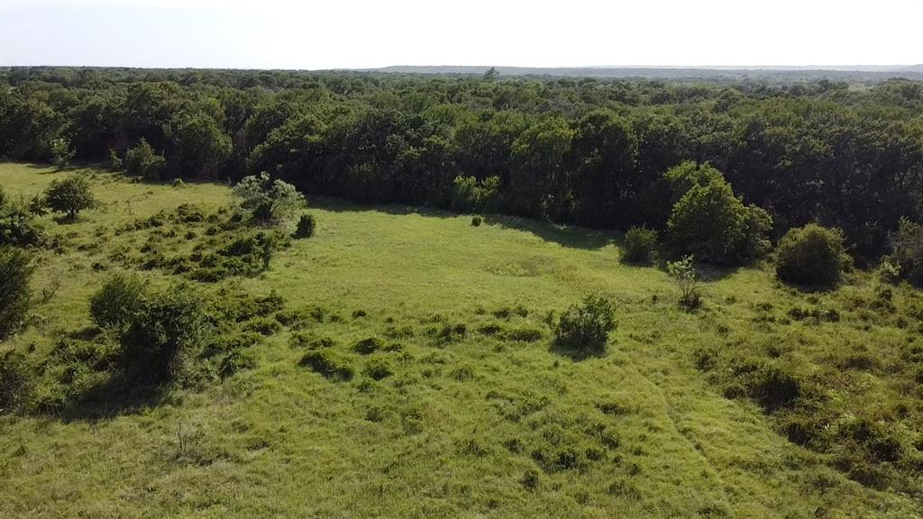 Tbd Ballew Springs Road Weatherford, TX 76088 - Photo 21 of 26 a view of a yard