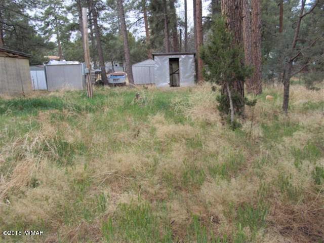 2866 Markham Road Overgaard, AZ 85933 - Photo 1 of 17 a backyard of a house with plants and trees