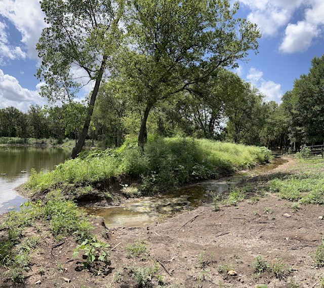 2570 North Old Bruceville Road Bruceville, TX 76630 - Photo 38 of 44 a view of a lush green forest with lots of trees