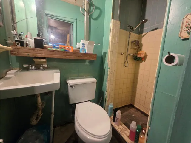 a view of a park with large tree