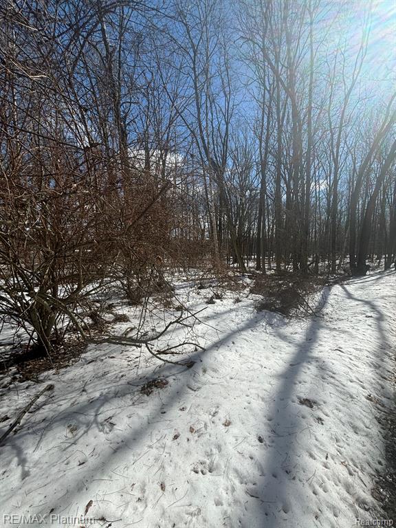 V/l Tipsico Lake Road Holly, MI 48442 - Photo 5 of 21 Gallery Image 5