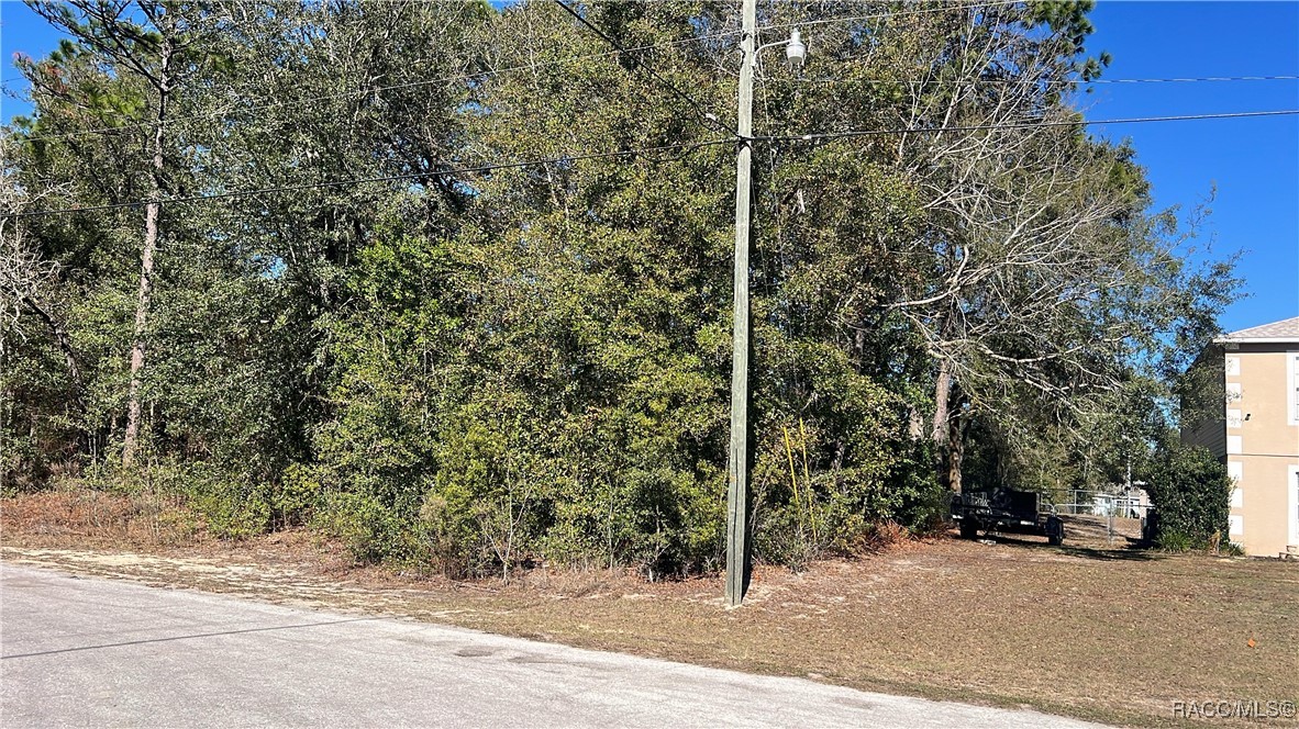 2559 West Castle Road Citrus Springs, FL 34434 - Photo 2 of 3