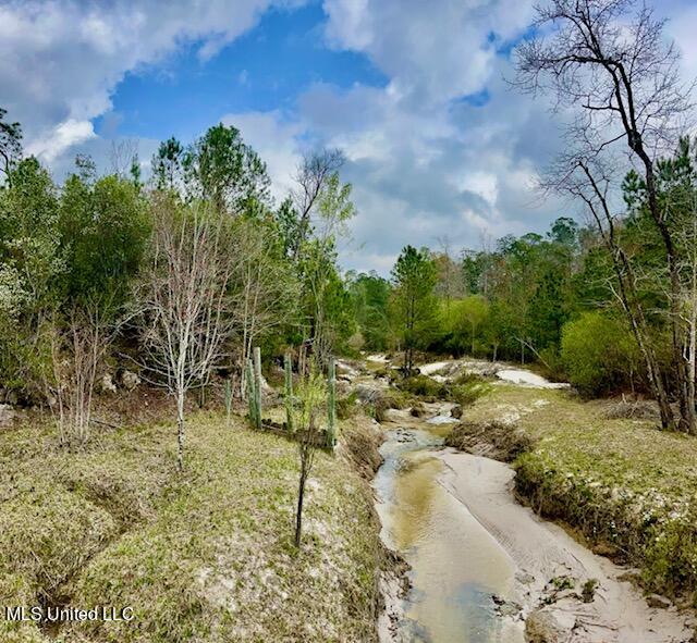 15429 Indian Fork Road Vancleave, MS 39565 - Photo 11 of 63 Creek View From Bridge
