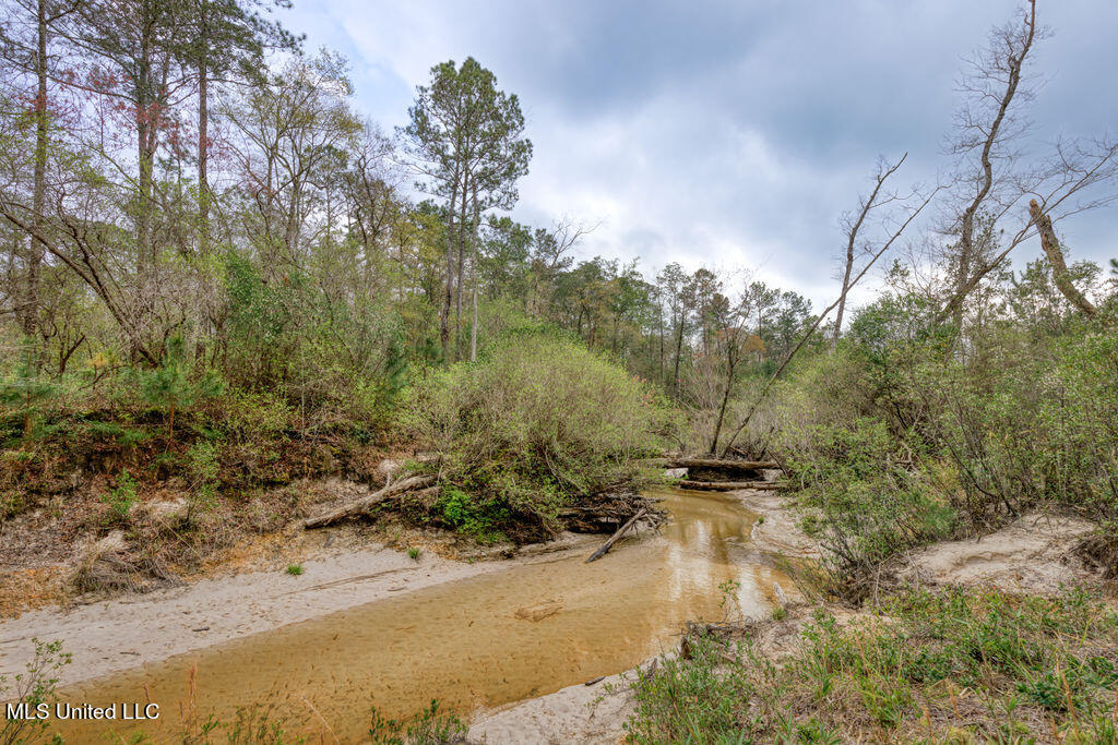 15429 Indian Fork Road Vancleave, MS 39565 - Photo 12 of 63 Creek View Opposite side of Bridge