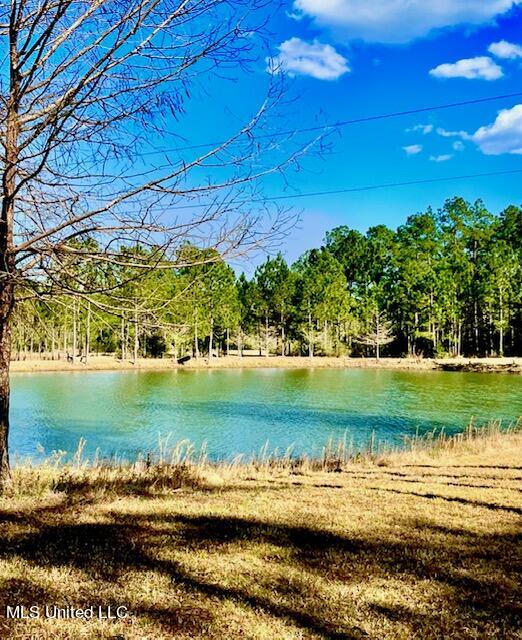 15429 Indian Fork Road Vancleave, MS 39565 - Photo 23 of 63 3rd Pond