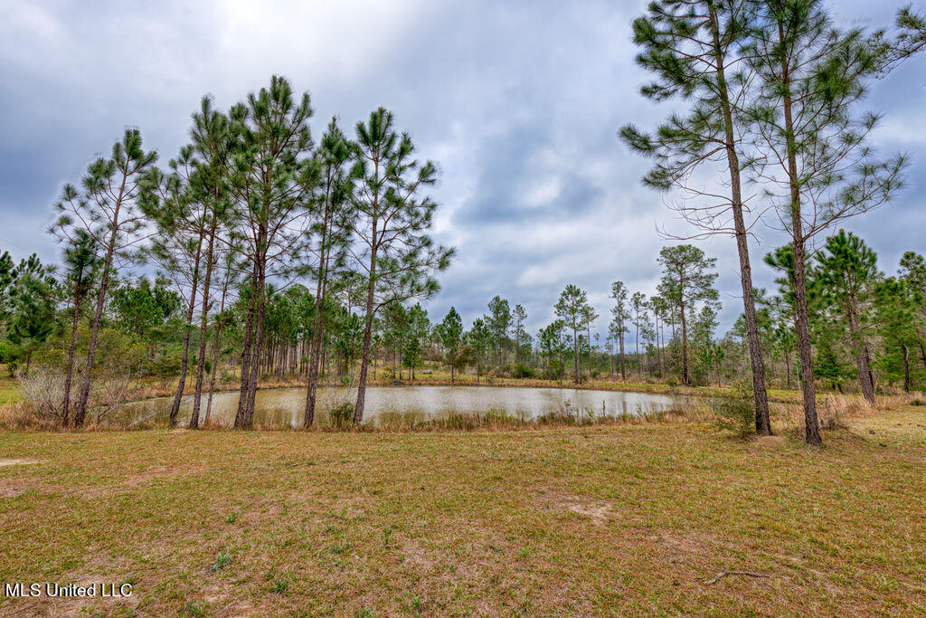 15429 Indian Fork Road Vancleave, MS 39565 - Photo 24 of 63 4th Pond