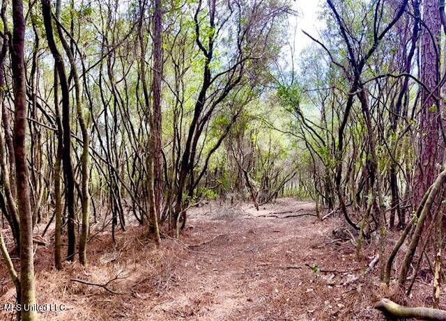 15429 Indian Fork Road Vancleave, MS 39565 - Photo 29 of 63 Trails Abound