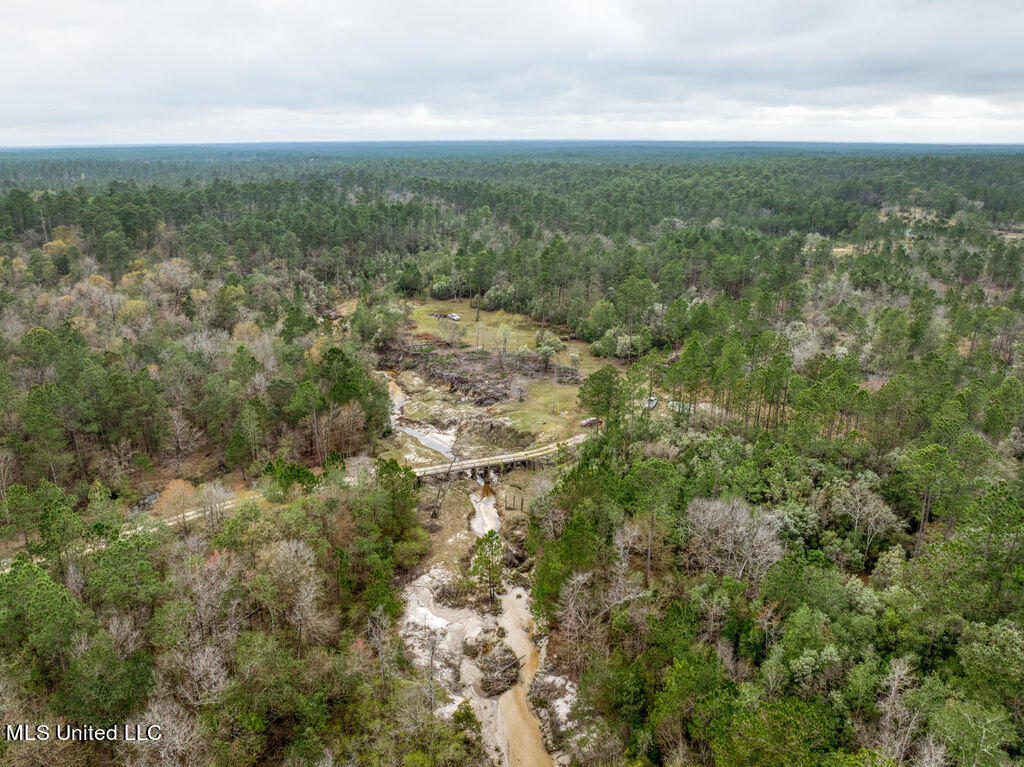 15429 Indian Fork Road Vancleave, MS 39565 - Photo 3 of 63 Creek and Bridge