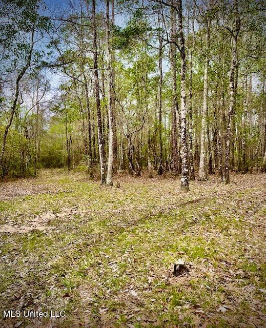 15429 Indian Fork Road Vancleave, MS 39565 - Photo 31 of 63 Trails Abound