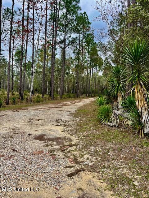 15429 Indian Fork Road Vancleave, MS 39565 - Photo 42 of 63 Raod Through Property