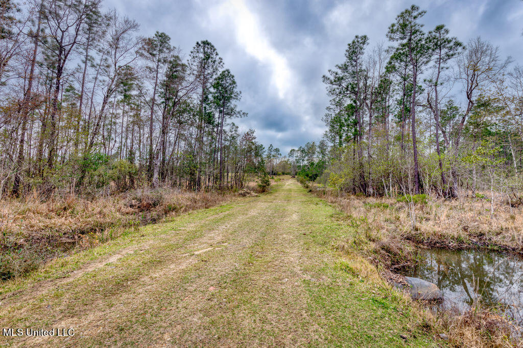 15429 Indian Fork Road Vancleave, MS 39565 - Photo 46 of 63 Road into Back Side of Property