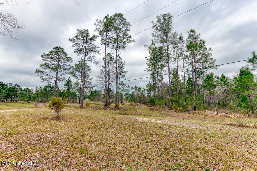 15429 Indian Fork Road Vancleave, MS 39565 - Photo 48 of 63 Open land area