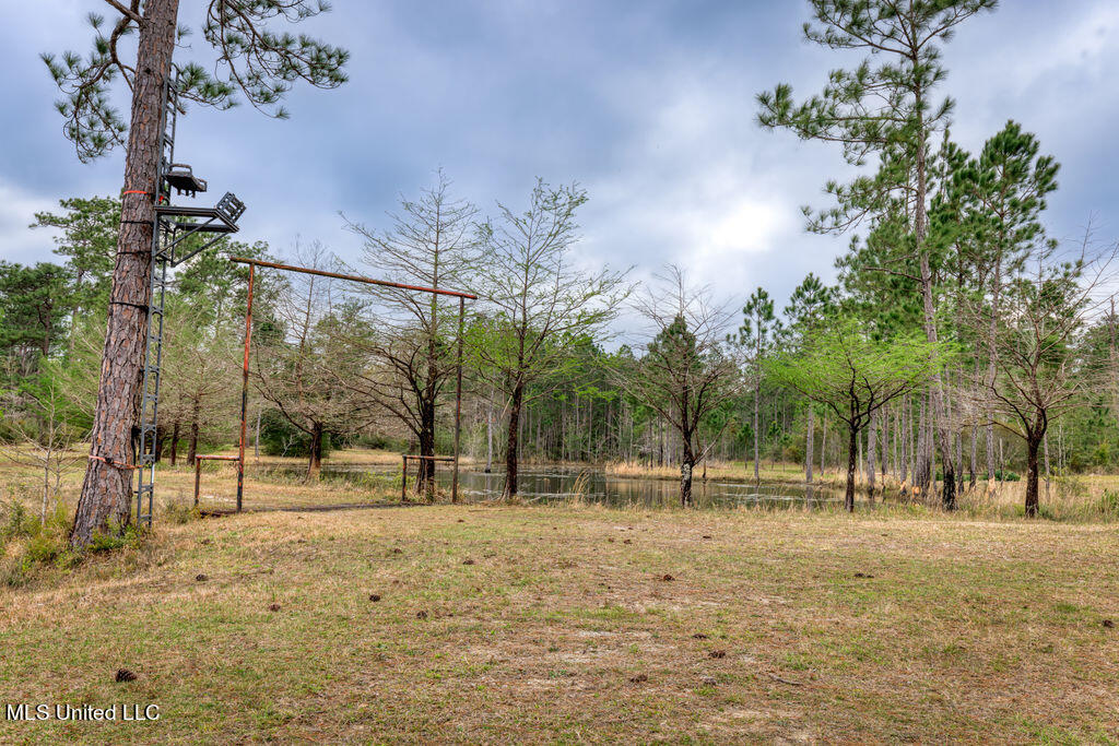 15429 Indian Fork Road Vancleave, MS 39565 - Photo 50 of 63 4th Stocked Pond