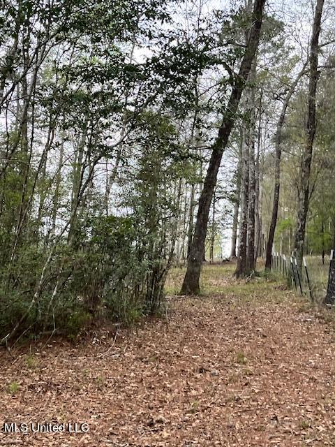 15429 Indian Fork Road Vancleave, MS 39565 - Photo 54 of 63 Walk to Creek