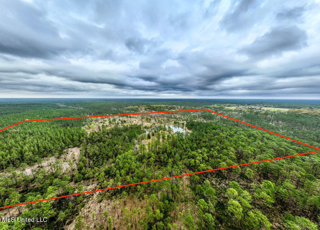 15429 Indian Fork Road Vancleave, MS 39565 - Photo 57 of 63 Arial of Land