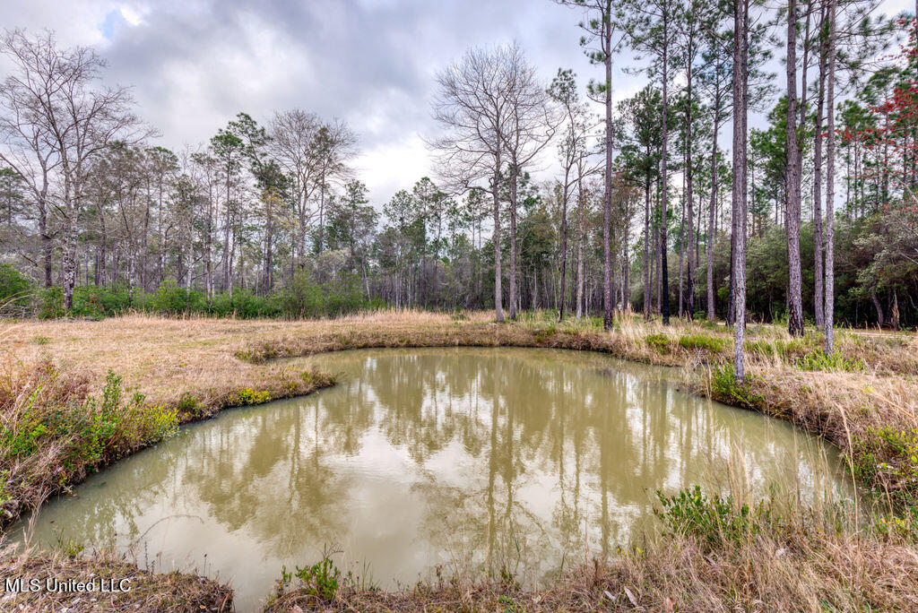 15429 Indian Fork Road Vancleave, MS 39565 - Photo 6 of 63 First Pond at Entry Bridge