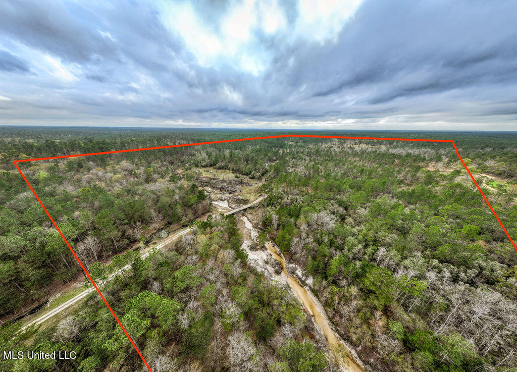 15429 Indian Fork Road Vancleave, MS 39565 - Photo 61 of 63 Creek and Bridge