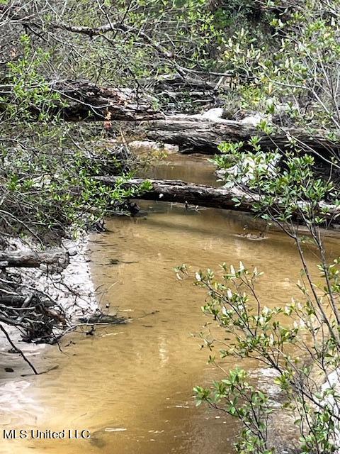 15429 Indian Fork Road Vancleave, MS 39565 - Photo 10 of 63 Creek
